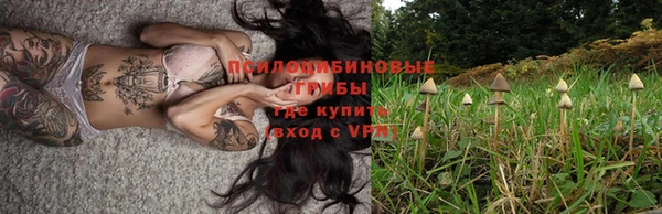 винт Аркадак